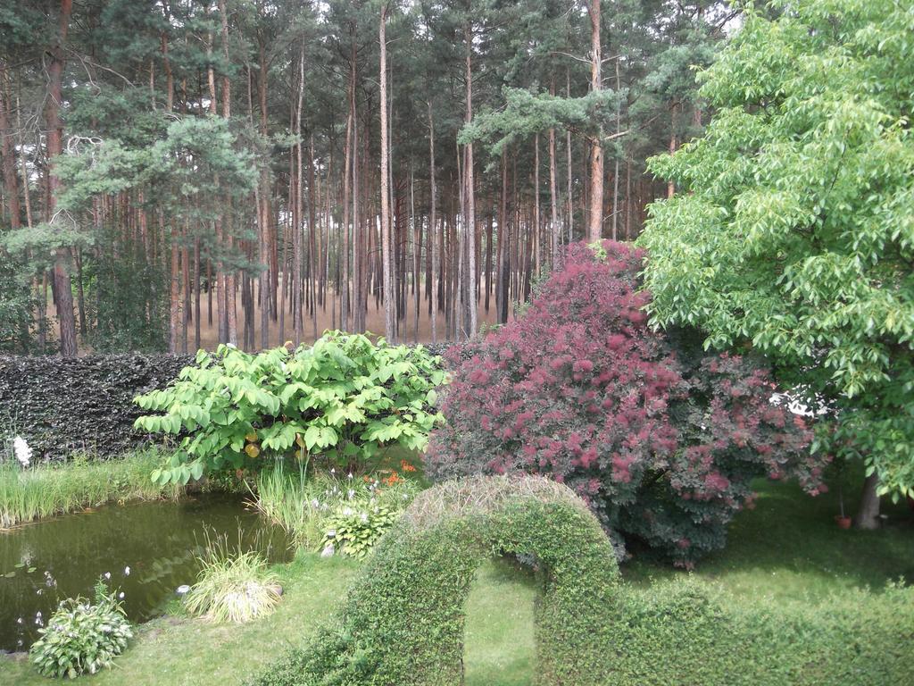Amselgarten ลึบเบิน ภายนอก รูปภาพ