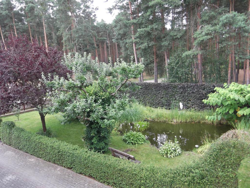 Amselgarten ลึบเบิน ภายนอก รูปภาพ