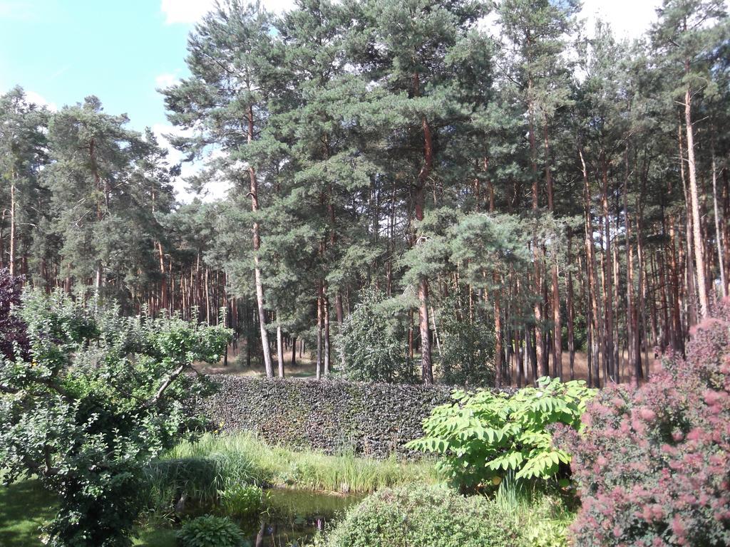 Amselgarten ลึบเบิน ภายนอก รูปภาพ