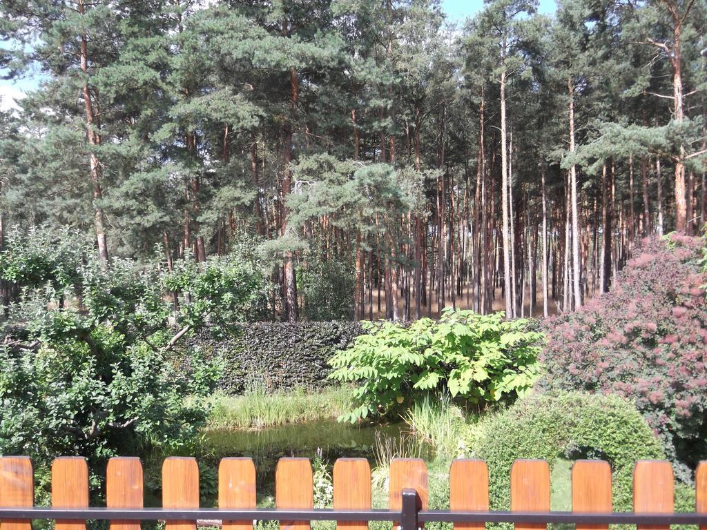Amselgarten ลึบเบิน ภายนอก รูปภาพ