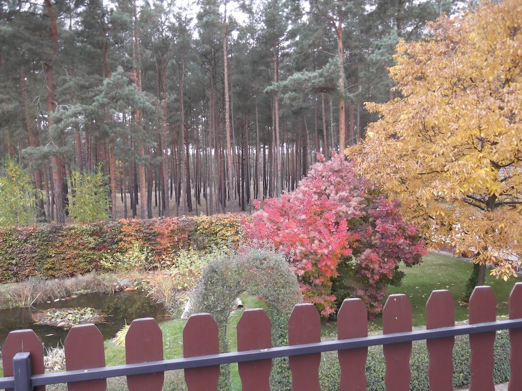 Amselgarten ลึบเบิน ภายนอก รูปภาพ
